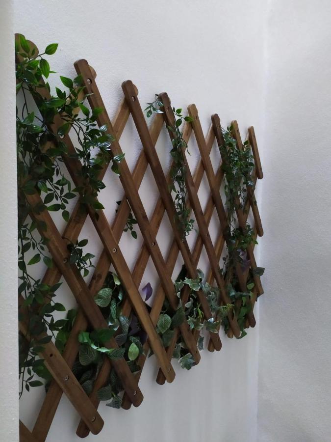 Apartmán Casa Urquinaona Cádiz Exteriér fotografie